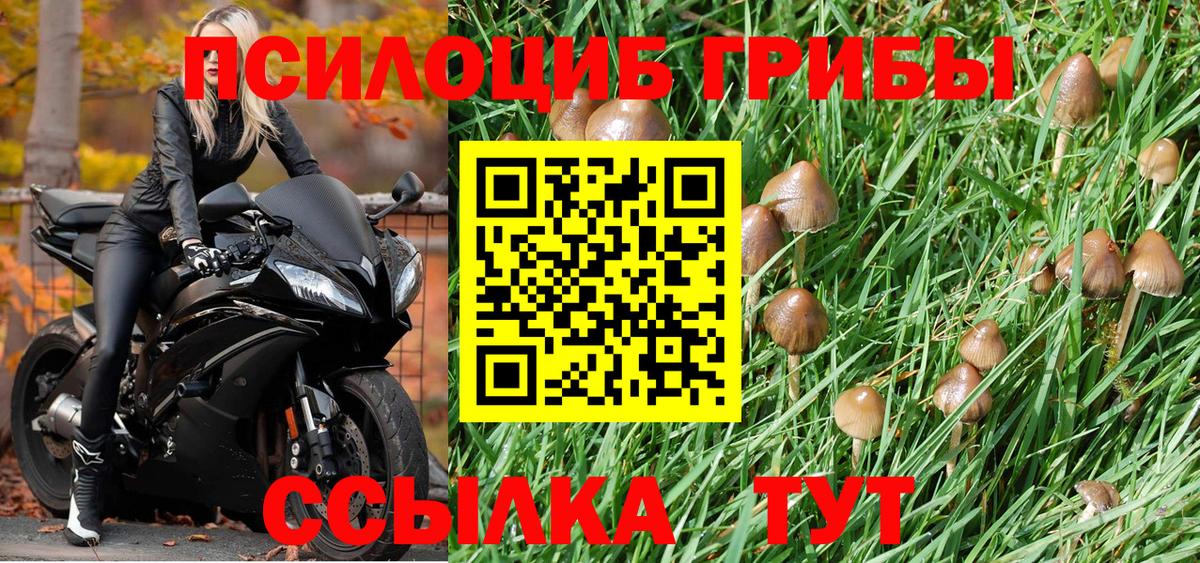 Псилоцибиновые грибы Psilocybe  Вход с VPN  купить   Протвино  Галлюциногенные грибы ЛСД 