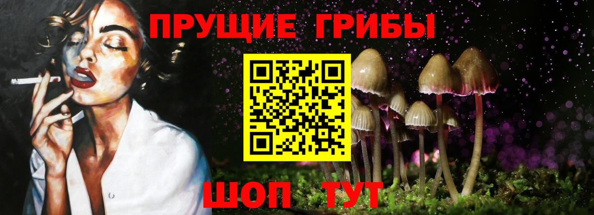 Псилоцибиновые грибы мухоморы Протвино